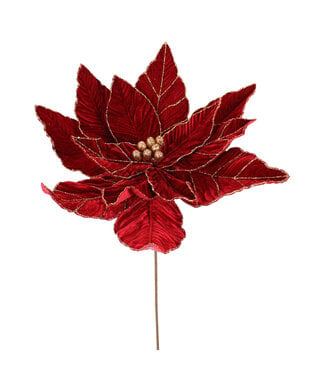 Tige poinsettia géant rouge et or brillant