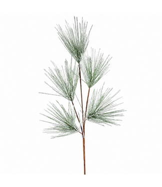 Tige de pin vert givré