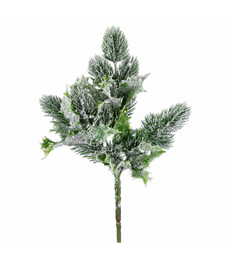 Pic sapinage et verdure glacé