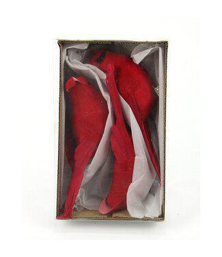 Ensemble de 3 cardinaux sur pince