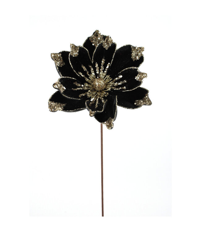 Tige magnolia noir et paillettes or/brillant | Éclat audacieux des fêtes