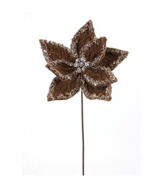 Tige poinsettia doux brun brillant