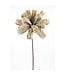 Tige boucle de ruban taupe brillant