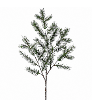 Tige sapin vert enneigé et cocottes