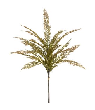 Bouquet de cèdre brun