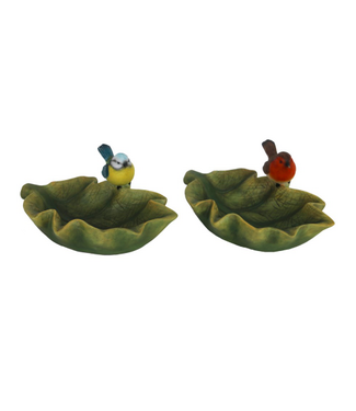 Bain d'oiseau feuille et oiseau