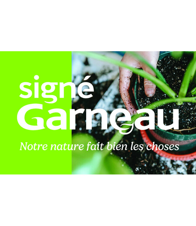 Signé Garneau Carte Cadeau Signé Garneau | Le Cadeau Parfait pour Offrir le Choix