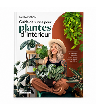 Guide de survie pour plantes d'intérieur