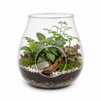 Terrariums