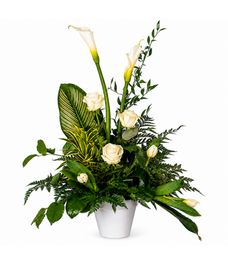 Signé Garneau Doux sentiments - AF-2338