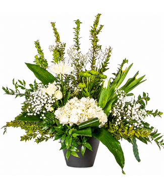 Signé Garneau Blanc paisible - AF-2362