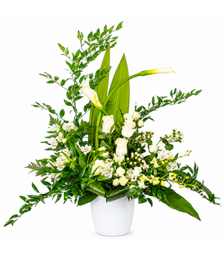 Signé Garneau Féerie blanche