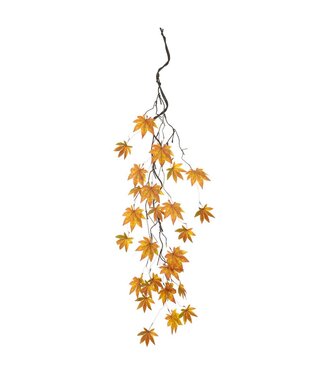 Tige de feuilles d'érables retombantes