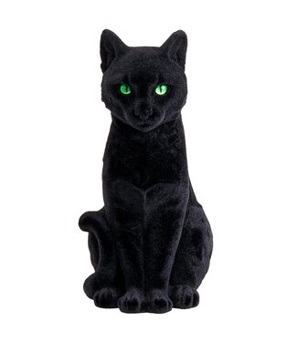 Chat noir assis