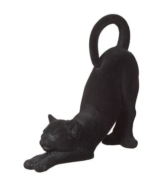 Chat noir tête en bas