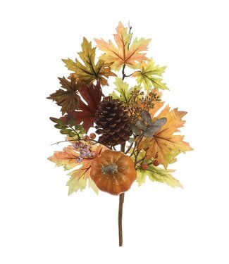 Tige citrouille, baies et feuilles d'érable