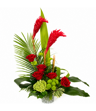 Ginger en folie - ARF-061