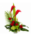 Ginger en folie - ARF-061