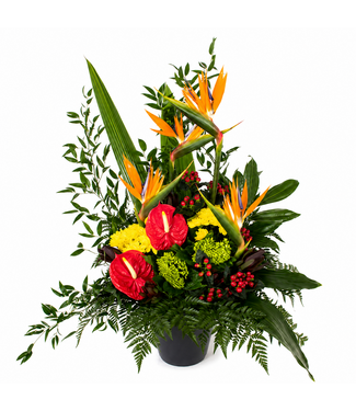 Le festif - ARF-056