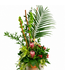 Protea magique - ARF-035