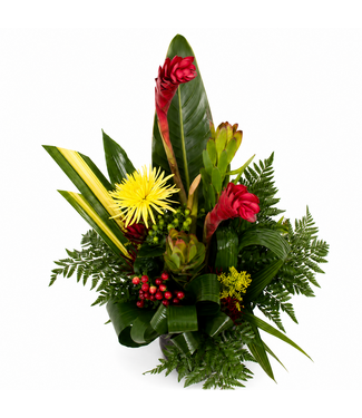 Le tropical - ARF-024