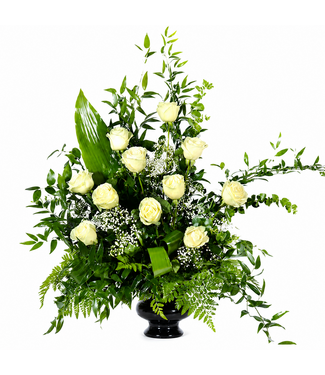 Signé Garneau Blanc pur - ARF-002