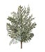 Pic de verdure mix givré | Nature givrée