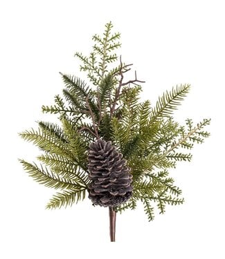 Tige verdure sapin et cocotte