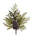 Tige verdure sapin et cocotte