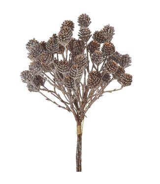 Bouquet de mini cocottes givrées brillantes