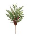 Tige pin, eucalyptus, baies rouge et cocottes | Pic décoratif