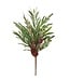 Tige pin, eucalyptus, baies rouge et cocottes