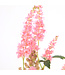 Astilbe Peach Blossom | Vivace à fleurs rose pêche pour l'ombre