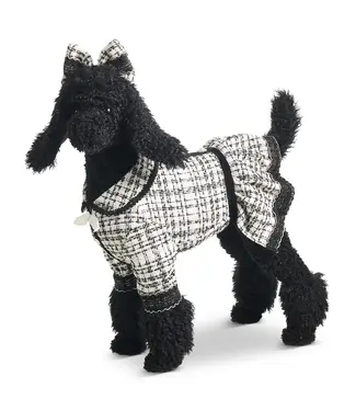 Labradoodle noir manteau carreauté blanc