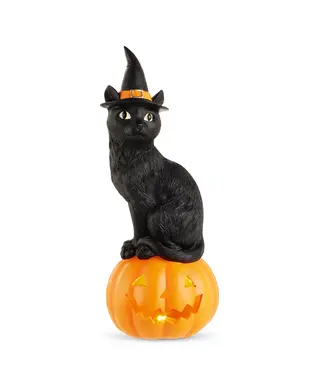 Chat noir sur citrouille illuminée