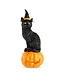 Chat noir sur citrouille illuminée | Décoration d'Halloween