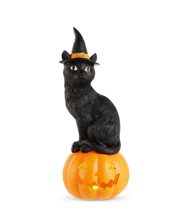 Chat noir sur citrouille illuminée | Décoration d'Halloween