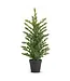 Sapin givré en pot | Décoration de Noël