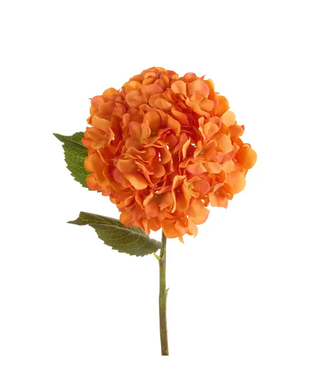 Tige d'hydrangée orange | Tige décorative