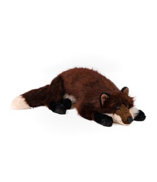 Renard câlin
