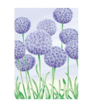 Carte - Allium