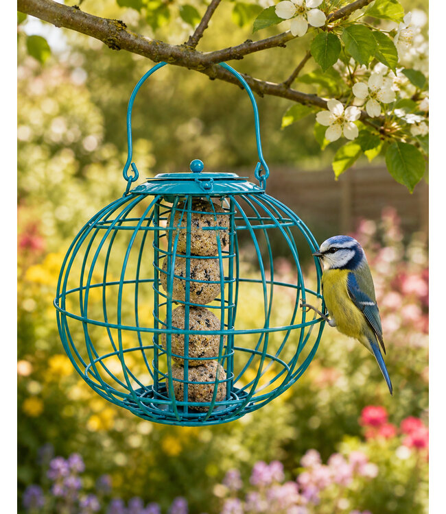 Mangeoire globe pour boule de suif | Résistante et attire les oiseaux