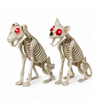 Squelette de chien ou chat LED 15,5 po