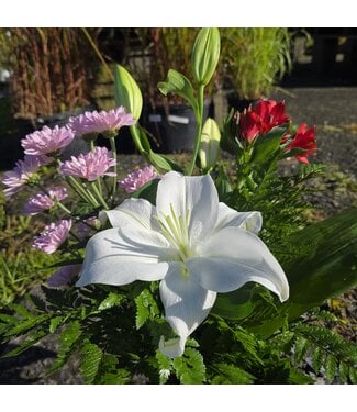 Signé Garneau Bouquet de la semaine