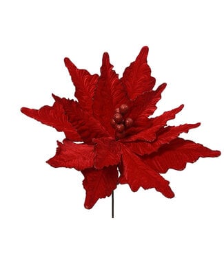 Tige de poinsettia géante rouge velours