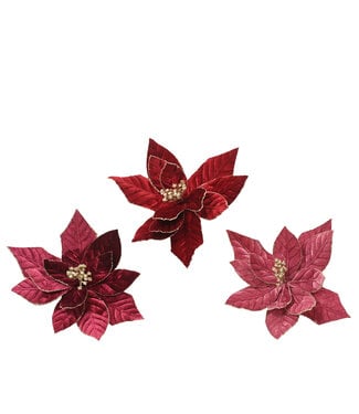 Poinsettias sur pince fushia en  velours