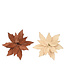 Poinsettia velours naturel et cuivre sur pince