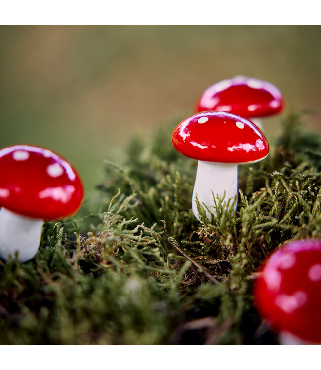 Champignons décoratifs sur broche | La magie des sous-bois à Noël