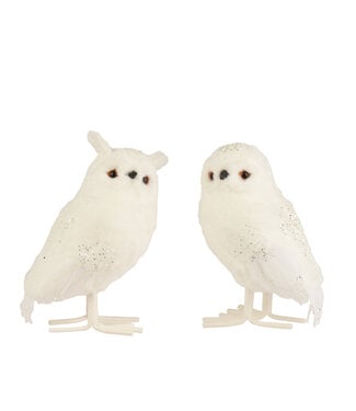 Hibou sur pieds blanc brillant