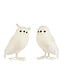 Hibou sur pieds blanc brillant | Éclat magiquede l'hiver